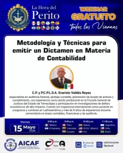 Metodología y Técnicas para emitir un Dictamen en Materia de Contabilidad