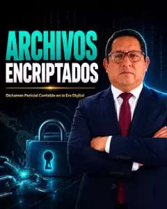 Archivos encriptados, evidencia borrada: cómo el perito contable encuentra lo que escondieron
