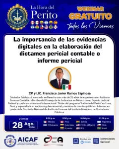 La importancia de las evidencias digitales en la elaboración del dictamen pericial contable o informe pericial