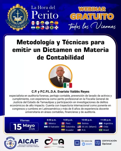 Metodología y Técnicas para emitir un Dictamen en Materia de Contabilidad